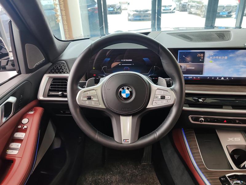 BMW X5, 2023 — фото 9 из 12