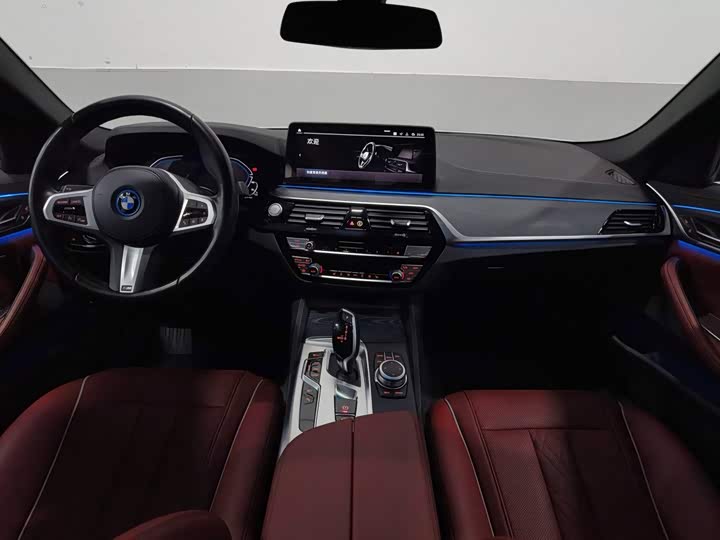 BMW 5 Series Hybrid, 2021 — фото 5 из 9
