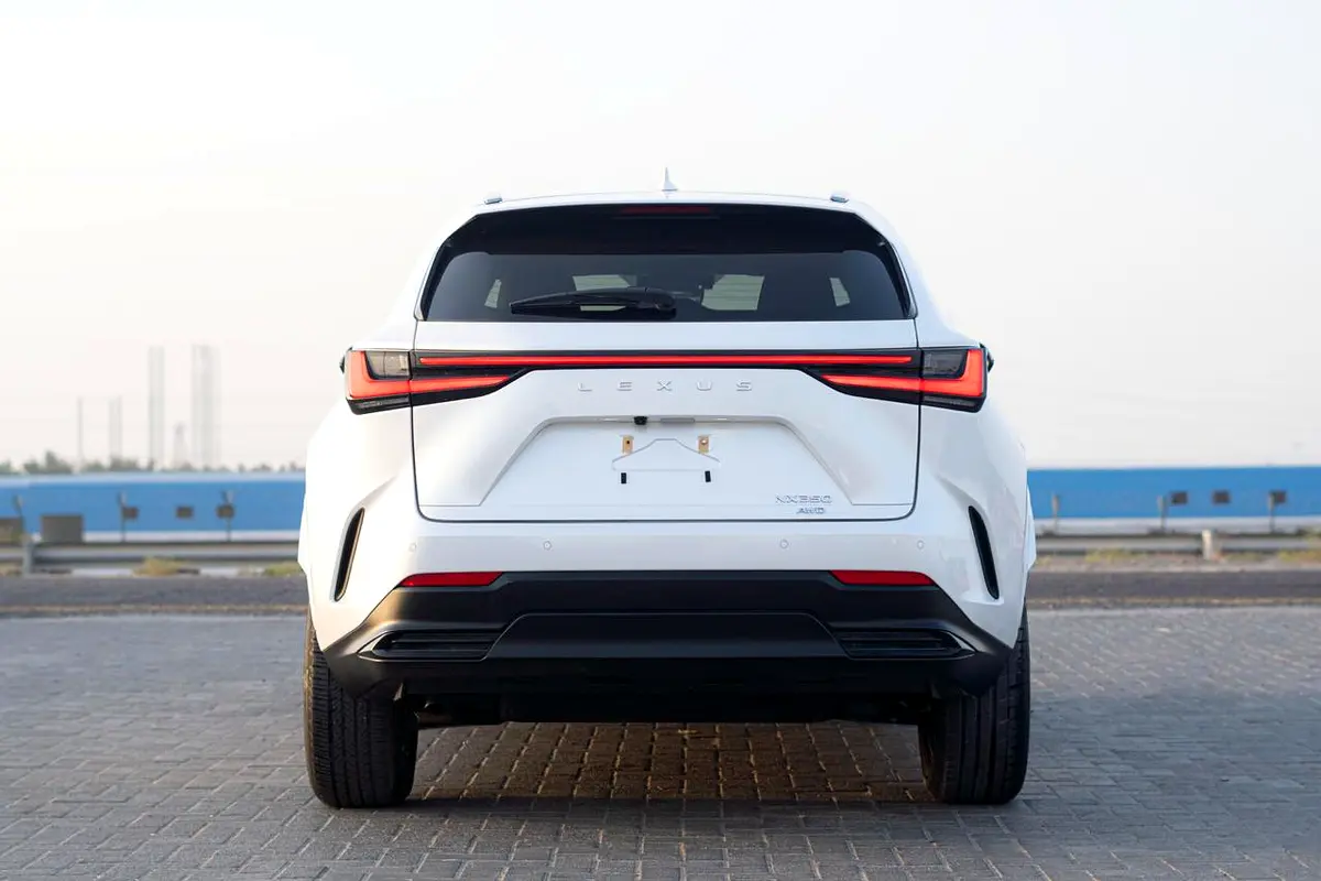 Lexus NX-Series, 2024 — фото 6 из 10