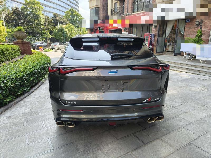 Changan Oshan Z6, 2022 — фото 5 из 12