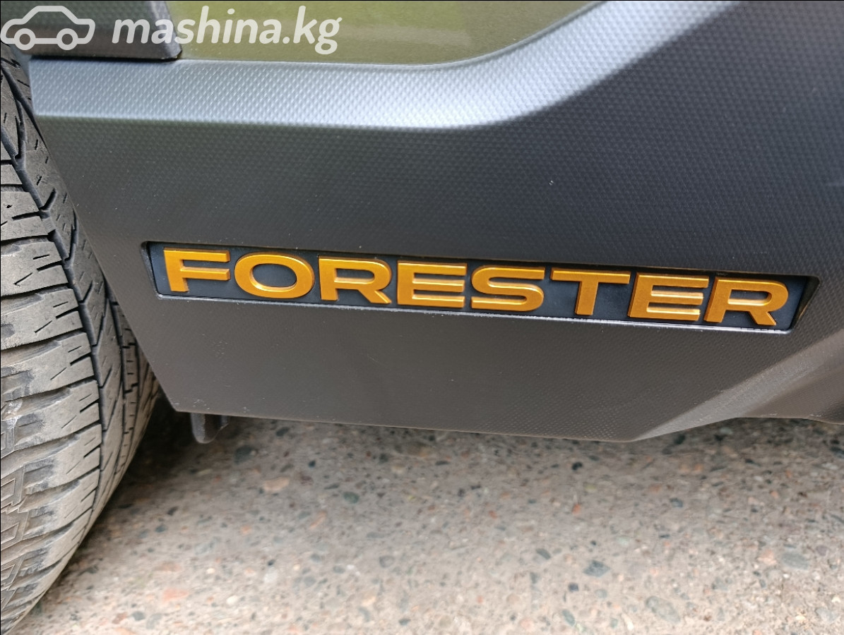 Subaru Forester, 2023 — фото 12 из 12