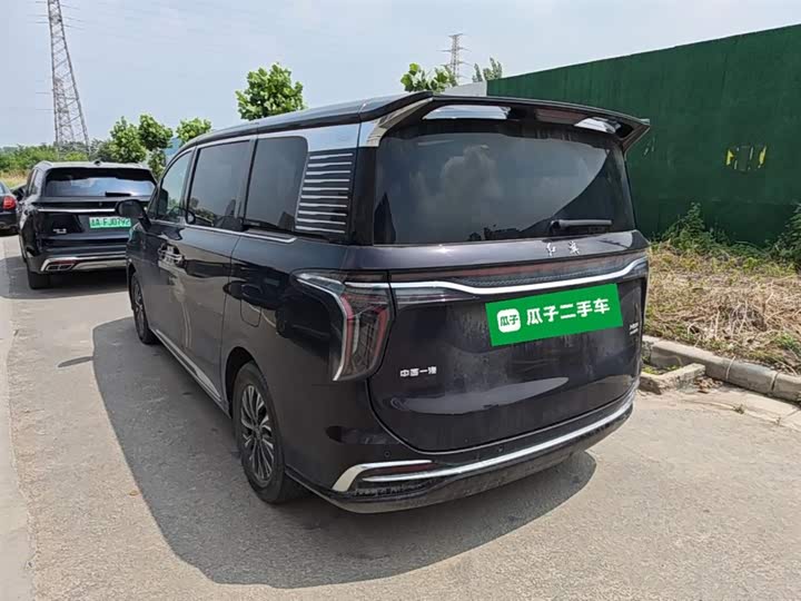 Hongqi HQ9 Hybrid, 2024 — фото 5 из 9
