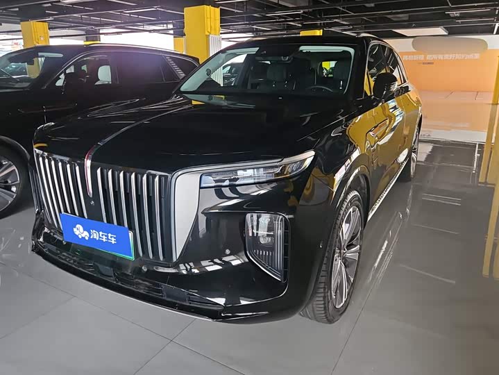Hongqi E-HS9, 2023 — купить в Твери под ключ