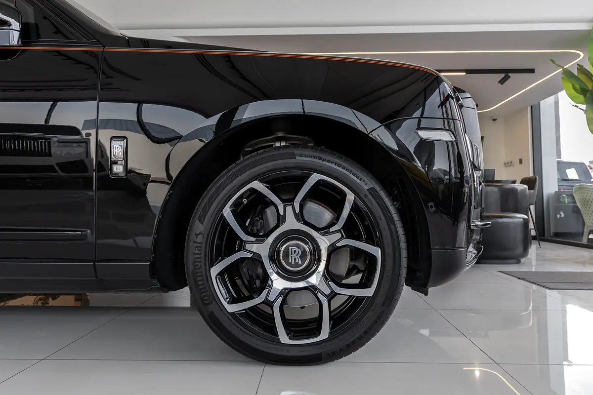 Rolls-Royce Cullinan, 2022 — фото 8 из 10