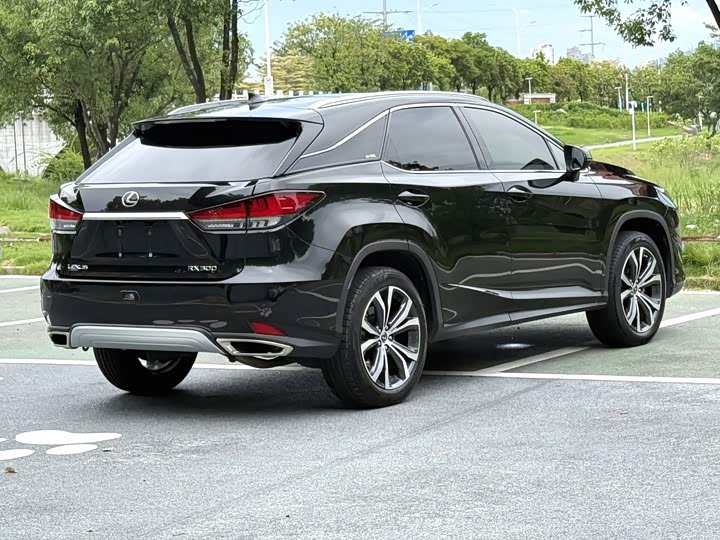 Lexus RX, 2022 — фото 9 из 9