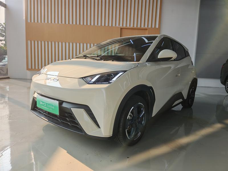 BYD Seagull, 2023 — купить в Самаре под ключ