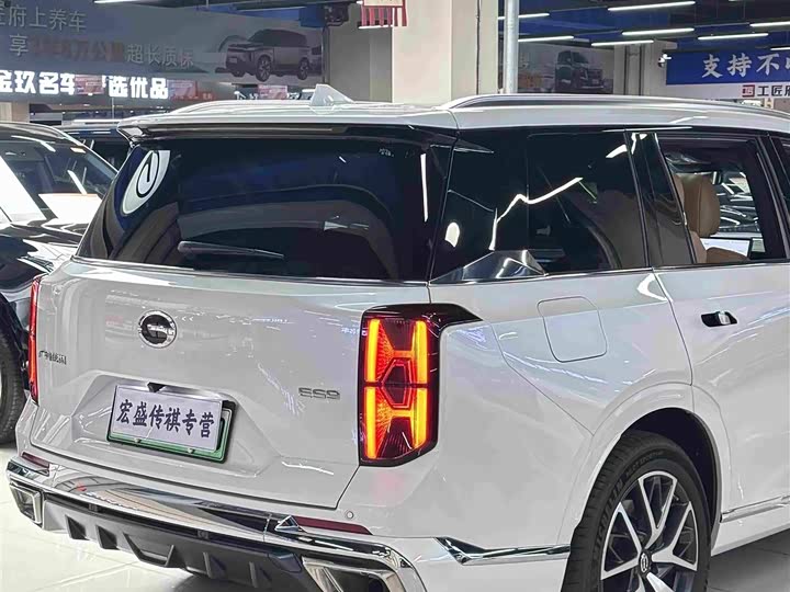 GAC Trumpchi ES9, 2023 — фото 9 из 9