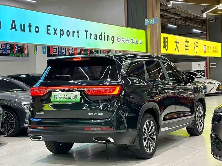 Jetour Shanhai L9, 2024 — фото 5 из 9