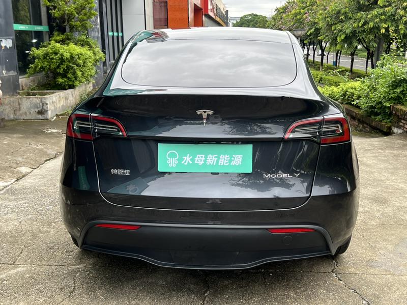 Tesla Model Y, 2024 — фото 6 из 12
