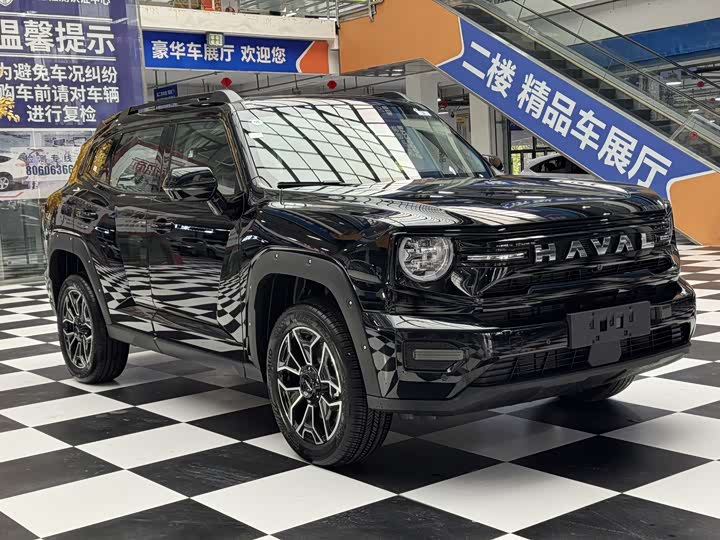 Haval H-Dog Hybrid, 2026 — фото 3 из 9