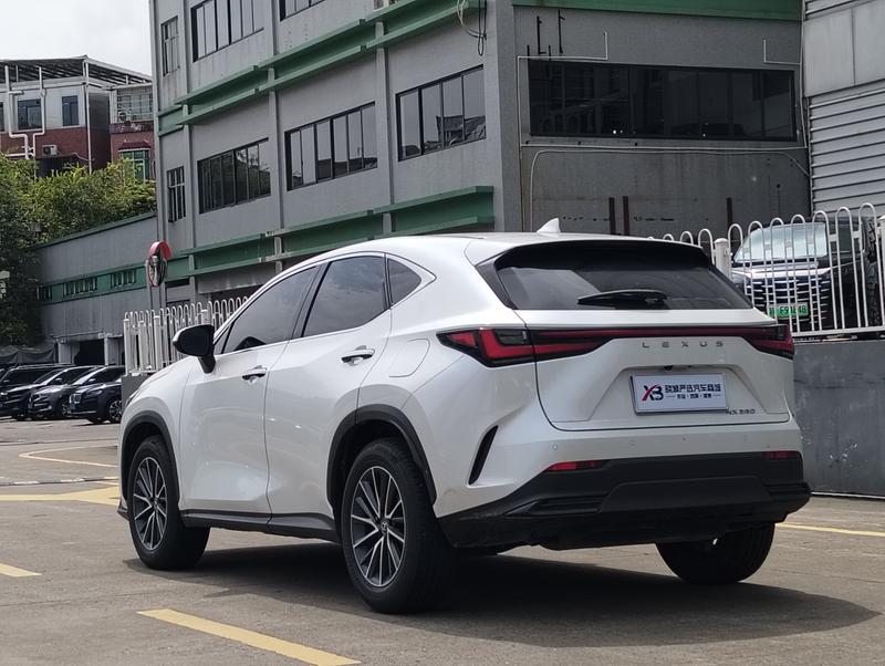 Lexus NX, 2023 — фото 5 из 12