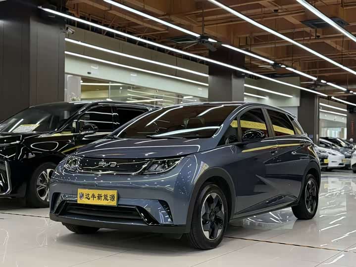 BYD Dolphin, 2025 — купить в Уфе под ключ