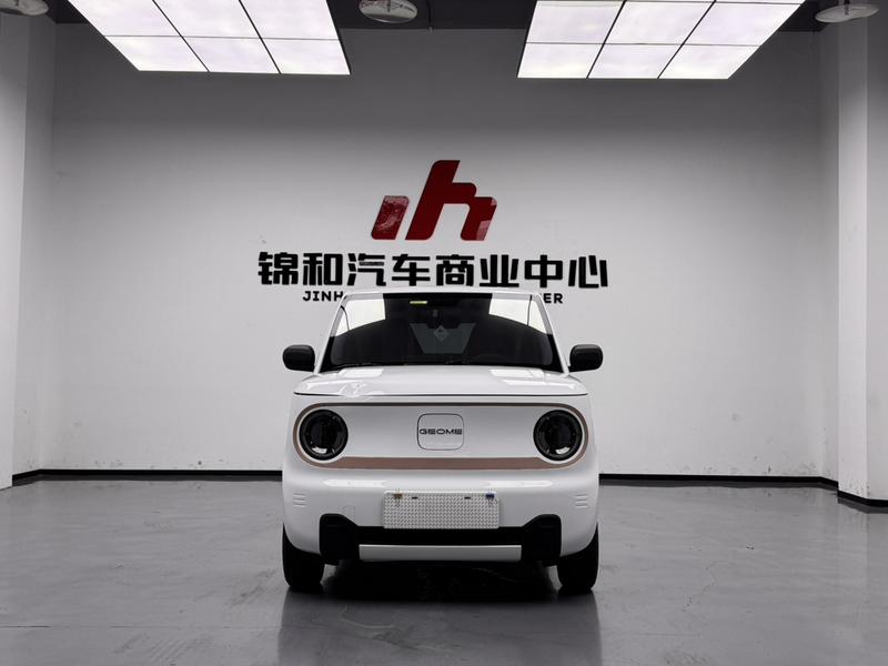 Geely Galaxy Panda Mini, 2024 — фото 2 из 11