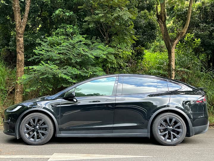 Tesla Model X, 2023 — фото 2 из 9