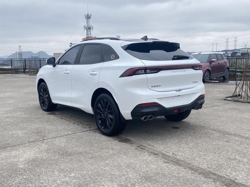 Dongfeng Forthing T5 EVO, 2022 — фото 4 из 9