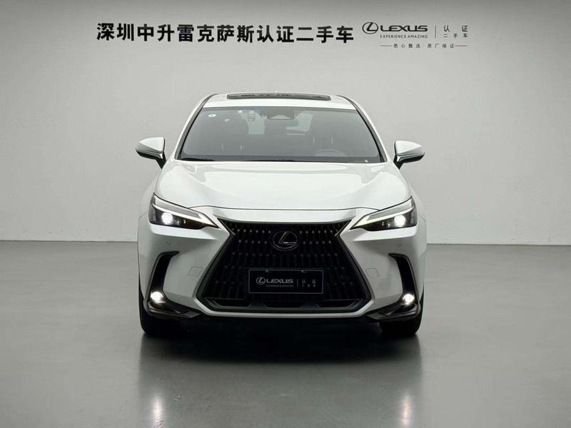 Lexus NX Hybrid, 2021 — фото 2 из 12