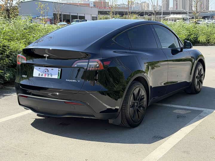 Tesla Model Y, 2022 — фото 8 из 9