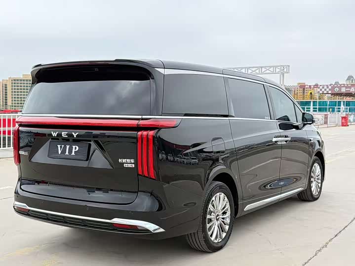 Wey 80 Hybrid, 2025 — фото 3 из 9