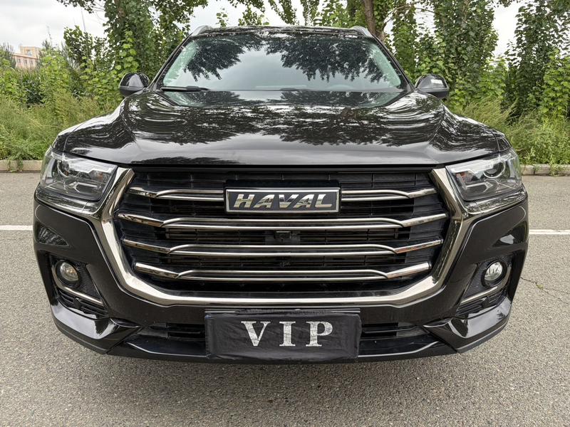 Haval H6, 2021 — фото 2 из 12