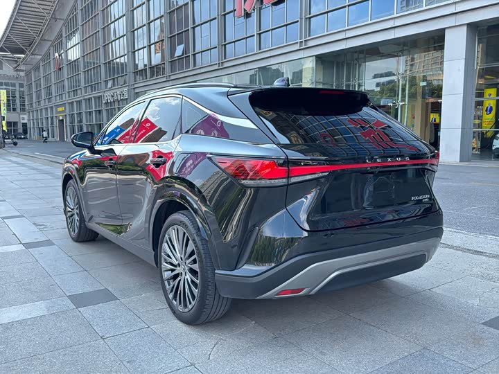 Lexus RX Hybrid, 2023 — фото 9 из 9