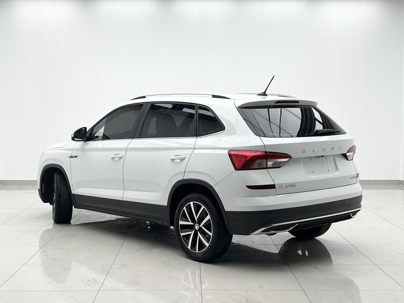 Skoda Kamiq, 2024 — фото 4 из 12
