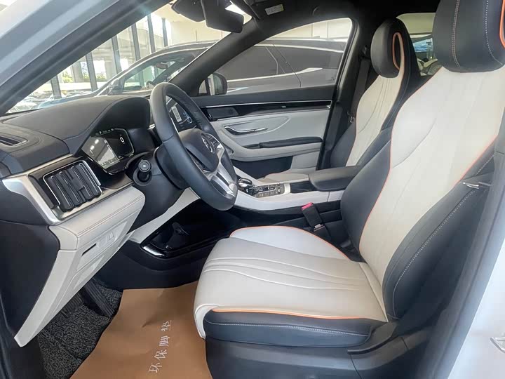 BYD Song Plus Hybrid/EV, 2021 — фото 6 из 9