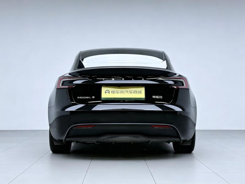 Tesla Model 3, 2023 — фото 6 из 12