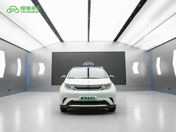 BYD Dolphin, 2024 — фото 2 из 9