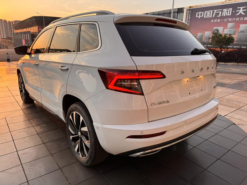 Skoda Karoq, 2023 — фото 7 из 12