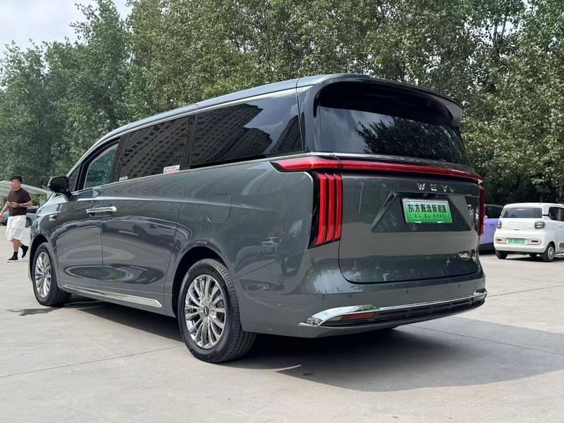 Wey 80 Hybrid, 2025 — фото 4 из 12