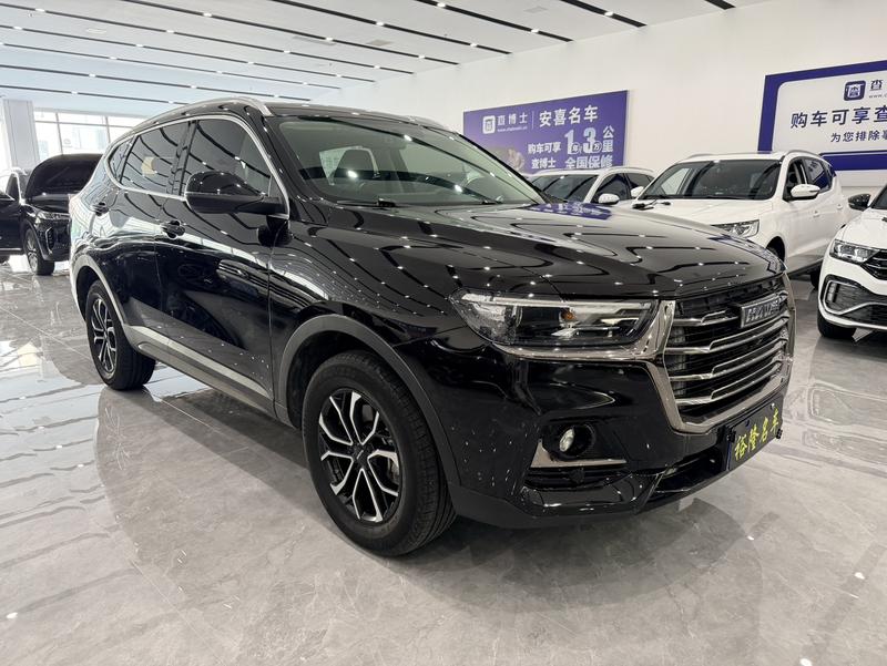 Haval H6, 2021 — фото 3 из 12