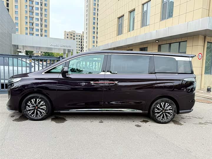 Hongqi HQ9 Hybrid, 2024 — фото 2 из 9