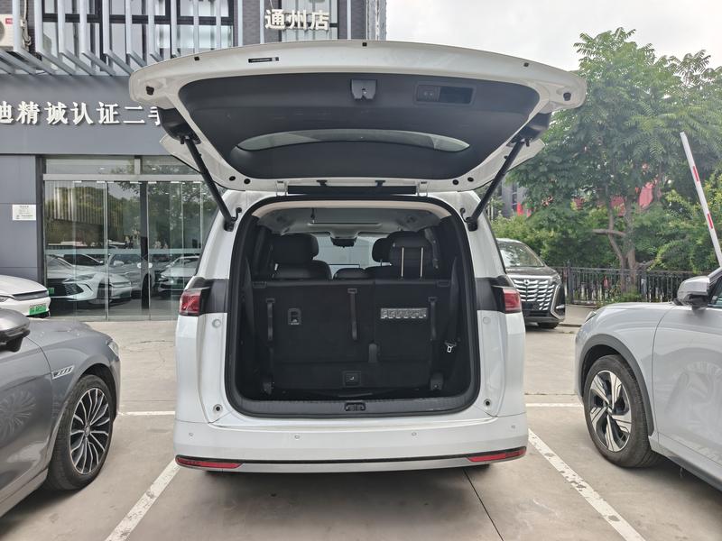 BYD M9, 2025 — фото 12 из 12