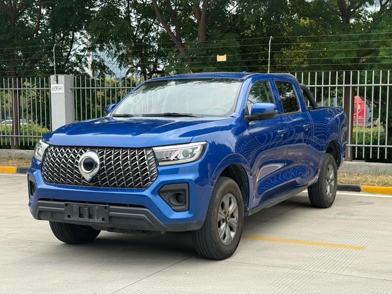 Great Wall Pao, 2023 — купить в Санкт-Петербурге под ключ