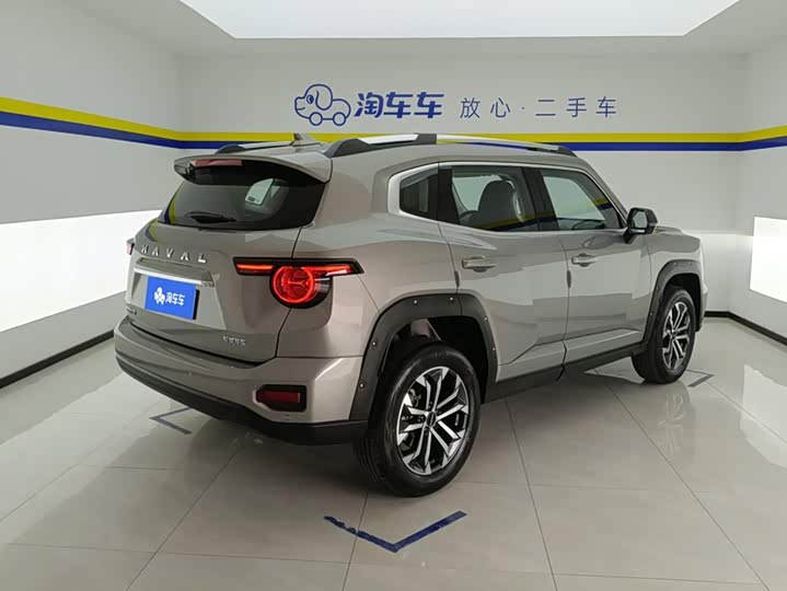 Haval H-Dog, 2024 — фото 3 из 9