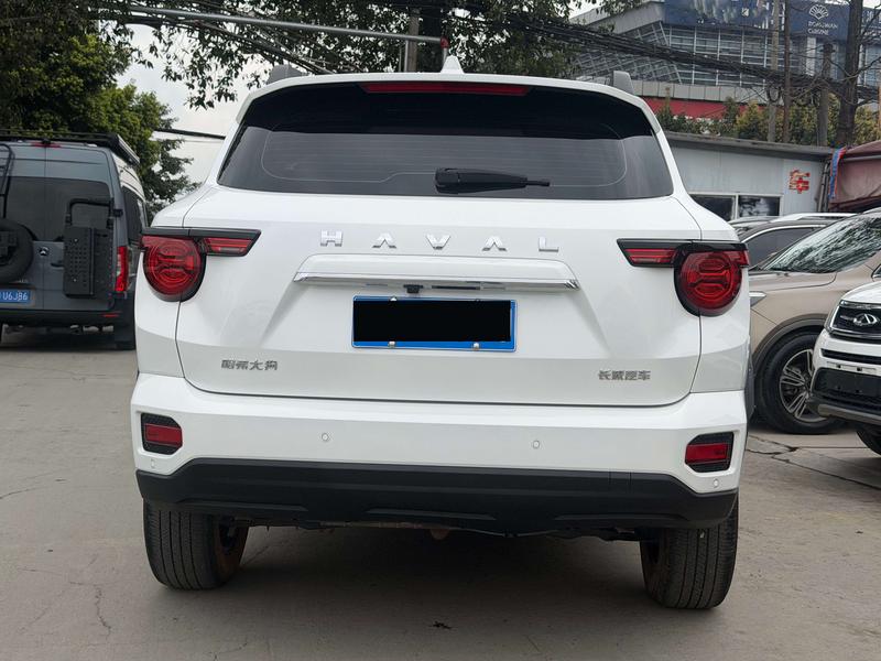 Haval H-Dog, 2023 — фото 4 из 10