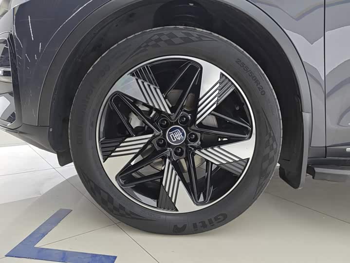BYD Tang Hybrid/EV, 2023 — фото 6 из 9