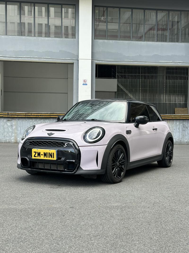 Mini Mini, 2022 — купить в Кирове под ключ