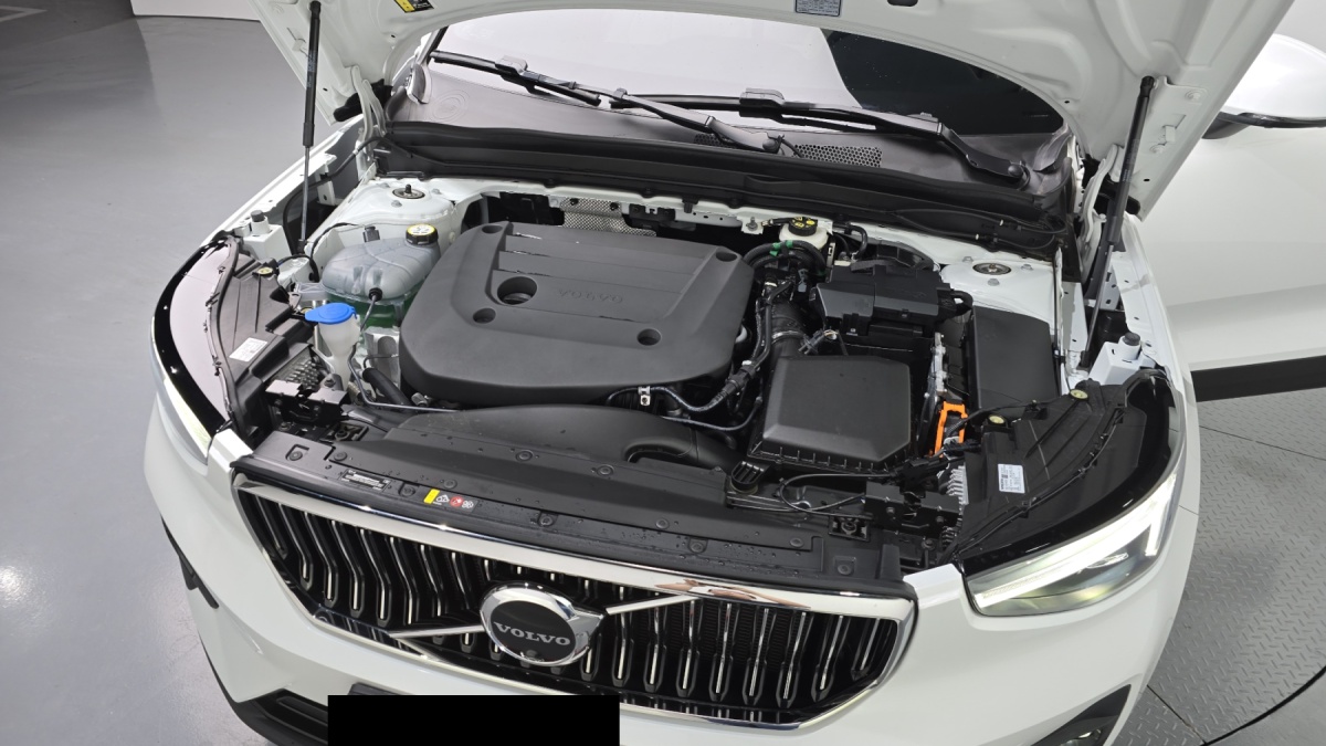 Volvo XC40, 2024 — фото 6 из 12