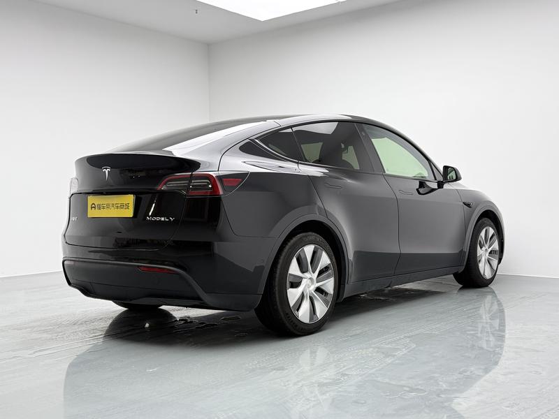Tesla Model Y, 2022 — фото 7 из 12