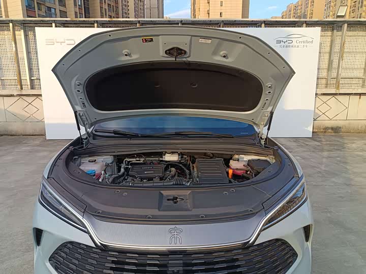 BYD Song L DM-i Hybrid, 2024 — фото 4 из 9