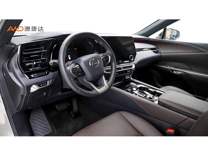 Lexus RX Hybrid, 2023 — фото 6 из 9