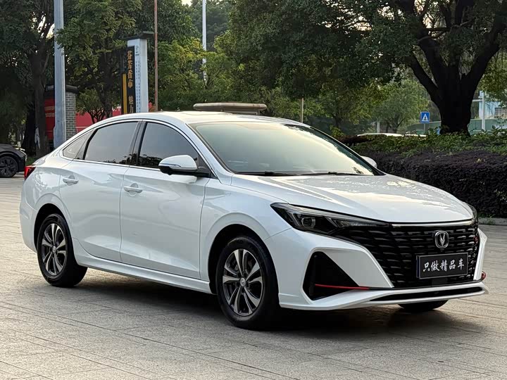 Changan Eado Plus, 2024 — фото 3 из 9