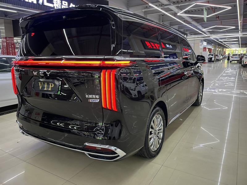 Wey 80 Hybrid, 2024 — фото 6 из 12