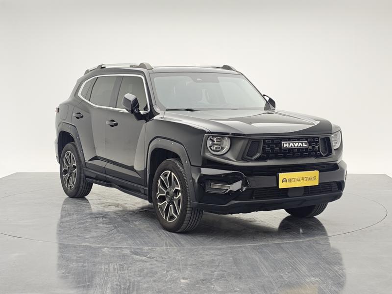 Haval H-Dog Hybrid, 2023 — фото 3 из 12