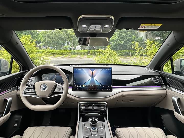 BYD Tang Hybrid/EV, 2024 — фото 7 из 9