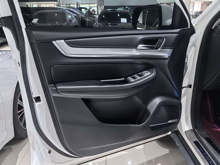 Roewe RX8, 2022 — фото 6 из 9