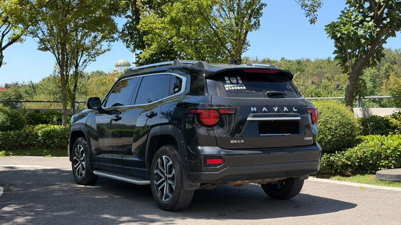 Haval H-Dog, 2023 — фото 4 из 11