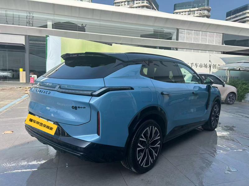 Lynk & Co 08 EM-P Hybrid, 2025 — фото 6 из 12