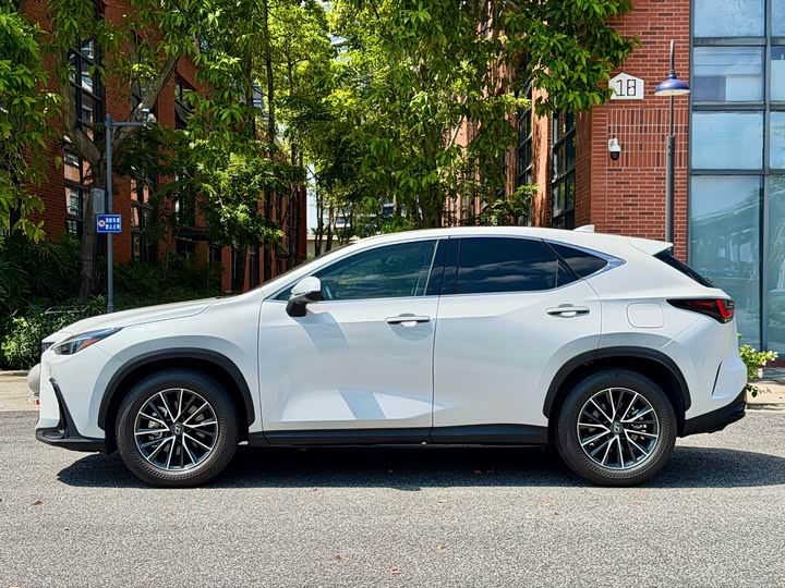 Lexus NX, 2024 — фото 2 из 9